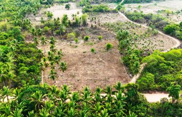 Tropical Homestead Subdivision near Beach