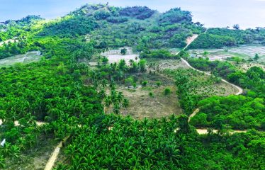 Tropical Homestead Subdivision near Beach