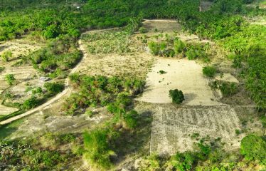 Tropical Homestead Subdivision near Beach