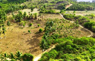 Tropical Homestead Subdivision near Beach