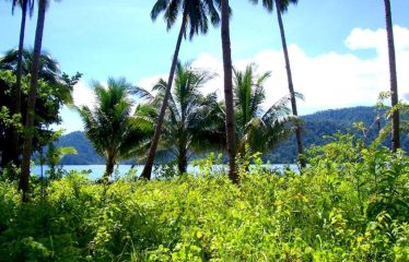 Ideal San Vicente Exclusive Beachfront Estate