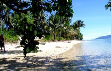 Ideal San Vicente Exclusive Beachfront Estate
