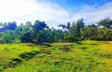 Spacious Home Lot Estate near Long Beach