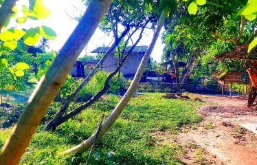 Spacious Home Lot Estate near Long Beach