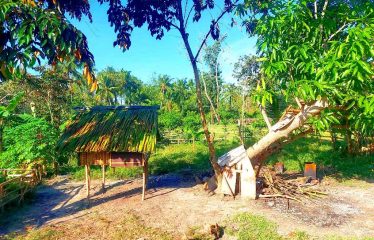 Spacious Home Lot Estate near Long Beach