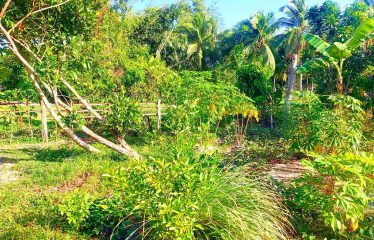 Spacious Home Lot Estate near Long Beach