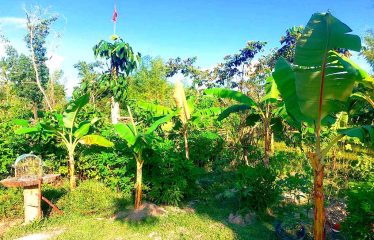 Spacious Home Lot Estate near Long Beach