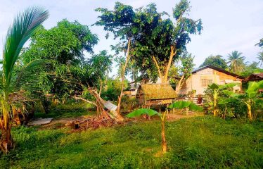 Spacious Home Lot Estate near Long Beach