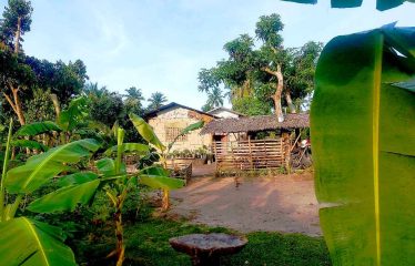 Spacious Home Lot Estate near Long Beach