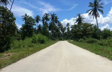 Spacious Home Lot Estate near Long Beach