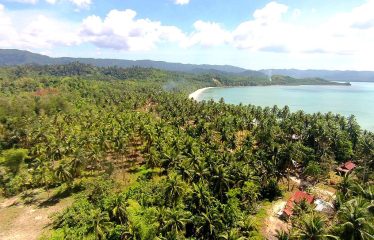 Prime Residential Estate Near the Beach and Airport