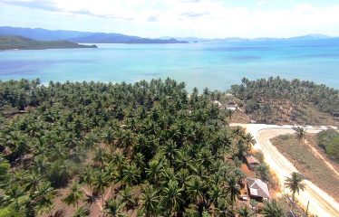 Prime Residential Estate Near the Beach and Airport