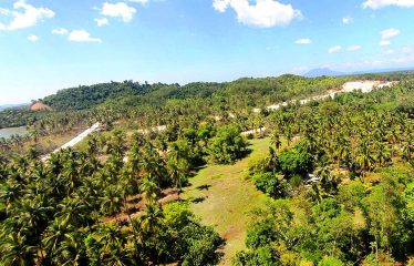 Prime Residential Estate Near the Beach and Airport