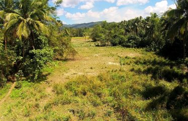 Prime Residential Estate Near the Beach and Airport