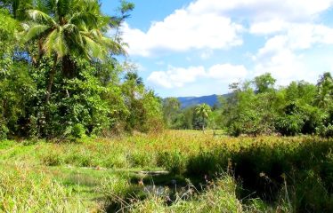 Prime Residential Estate Near the Beach and Airport