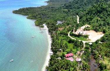 Exclusive Beachfront Paradise in Port Barton