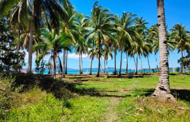 Exclusive Beachfront Paradise in Port Barton