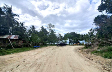 Sunset Beach Estate in Port Barton