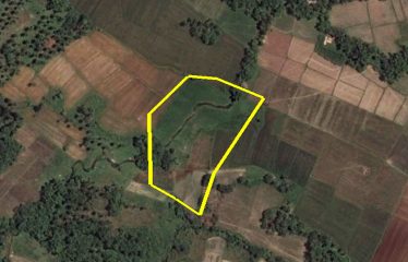 Investment Estate near Port Barton Beach