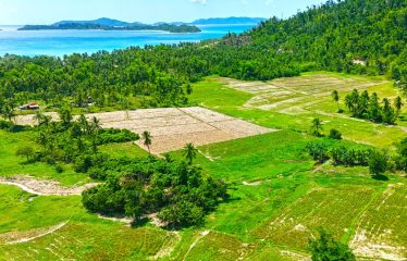 Investment Estate near Port Barton Beach