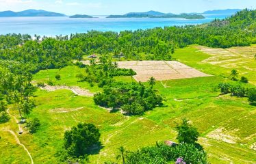 Investment Estate near Port Barton Beach