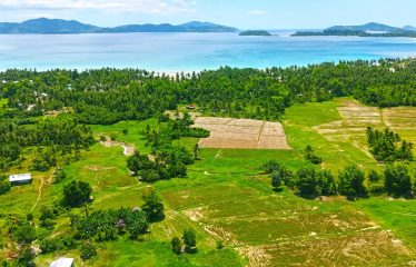 Investment Estate near Port Barton Beach