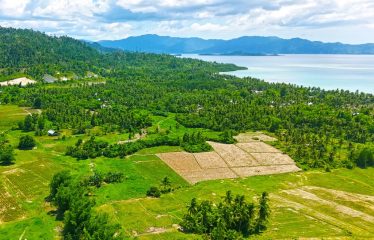 Investment Estate near Port Barton Beach