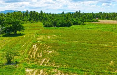 Investment Estate near Port Barton Beach
