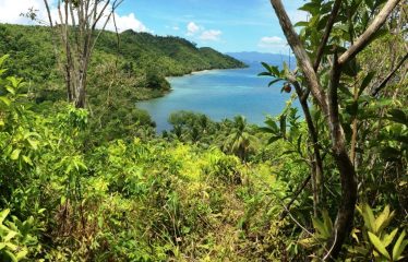 Buayan Island Portion with Long Seafront Cove