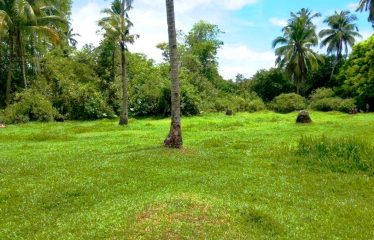 Residential Estate with Tourism Potential next to Long Beach