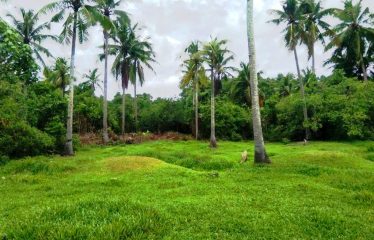 Residential Estate with Tourism Potential next to Long Beach