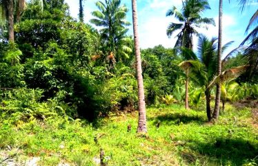 Residential Estate with Tourism Potential next to Long Beach