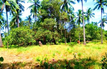 Residential Estate with Tourism Potential next to Long Beach