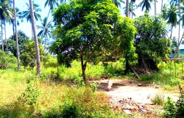 Residential Estate with Tourism Potential next to Long Beach