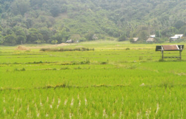 Spacious Commercial Estate Near Beach
