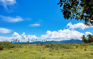 Asset Estate within Economic Zone