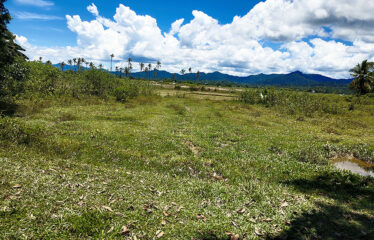 Asset Estate within Economic Zone