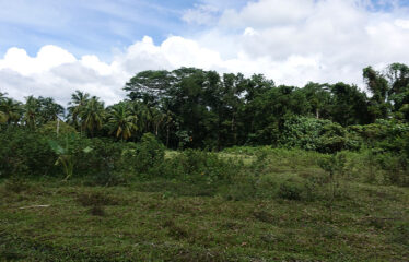 Asset Estate within Economic Zone