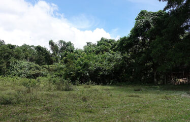 Asset Estate within Economic Zone