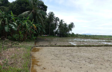 Asset Estate within Economic Zone