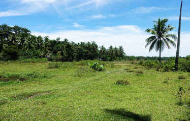 Asset Estate within Economic Zone