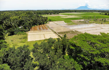 Residential Asset Estate within Economic Zone