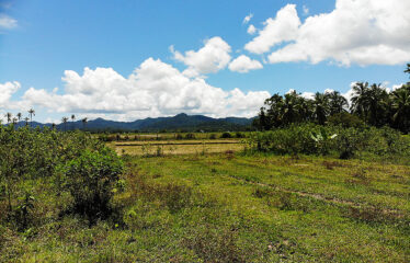 Residential Asset Estate within Economic Zone