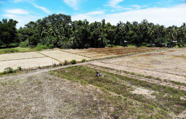 Residential Asset Estate within Economic Zone