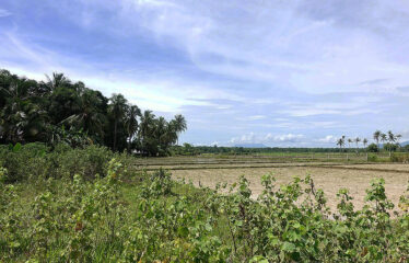 Residential Asset Estate within Economic Zone