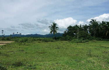 Residential Asset Estate within Economic Zone