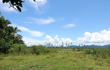 Residential Asset Estate within Economic Zone