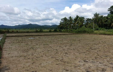 Residential Asset Estate within Economic Zone