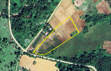 Pleasant Homestead Estate Near Ocean