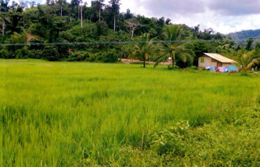 Pleasant Homestead Estate Near Ocean
